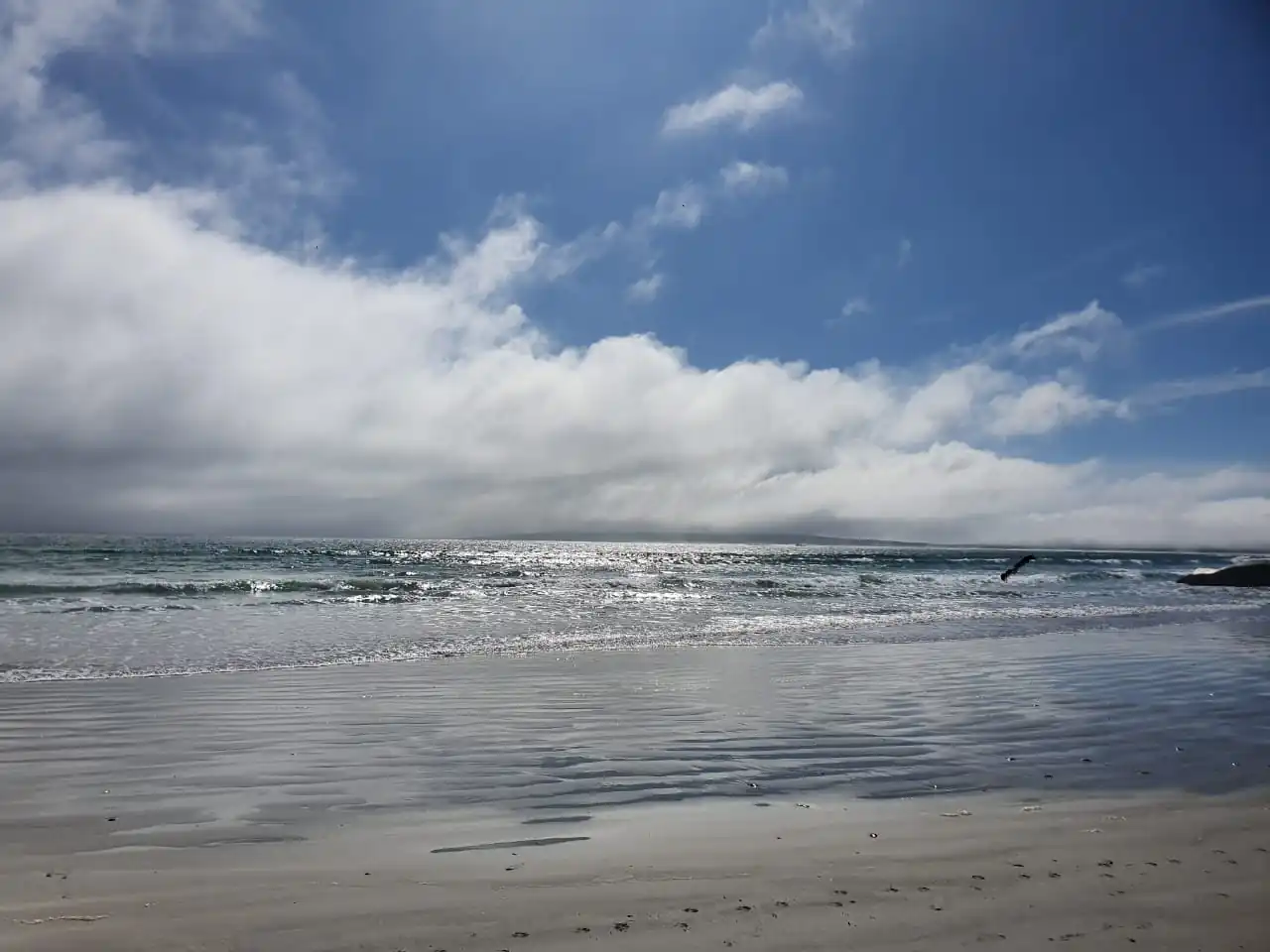 00338381 Cbff 486f Aac1 8beffb78c960