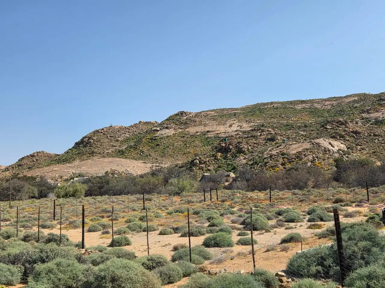 0381d8b9 2bf0 4bc8 B5d9 E1d6a31f252f