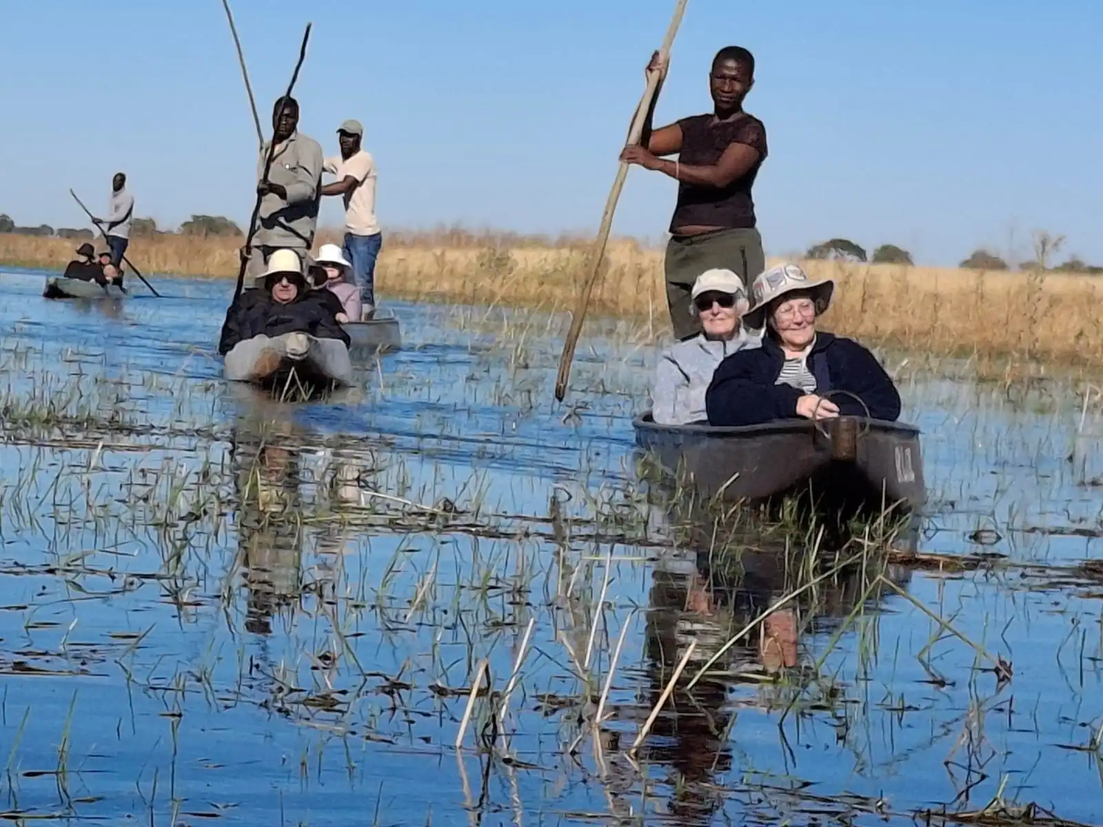 103717a5 D556 46c9 A182 706a00ec5eeb