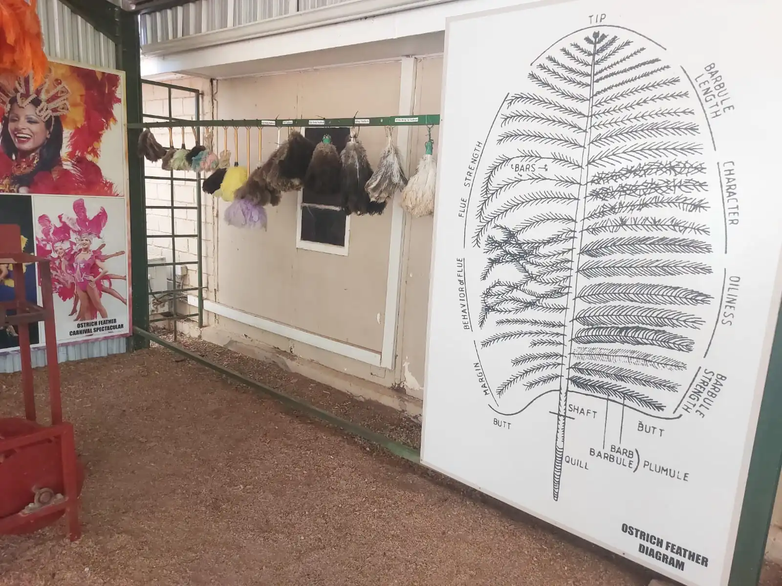 117d8624 F3d4 4850 8976 1ed7ebc07a0e 1