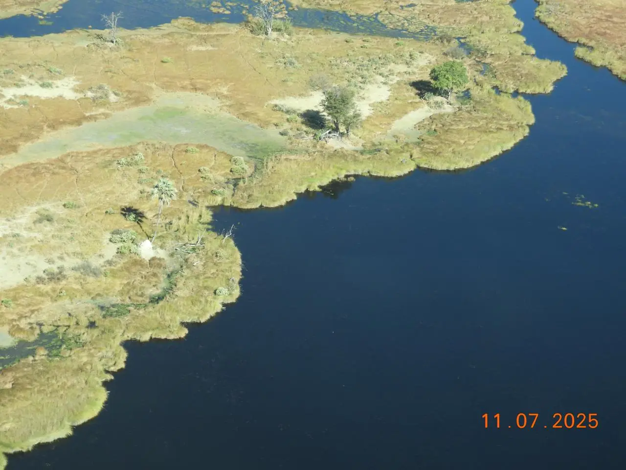 13f96c31 3198 4956 8a28 C2a6a70d1c5d