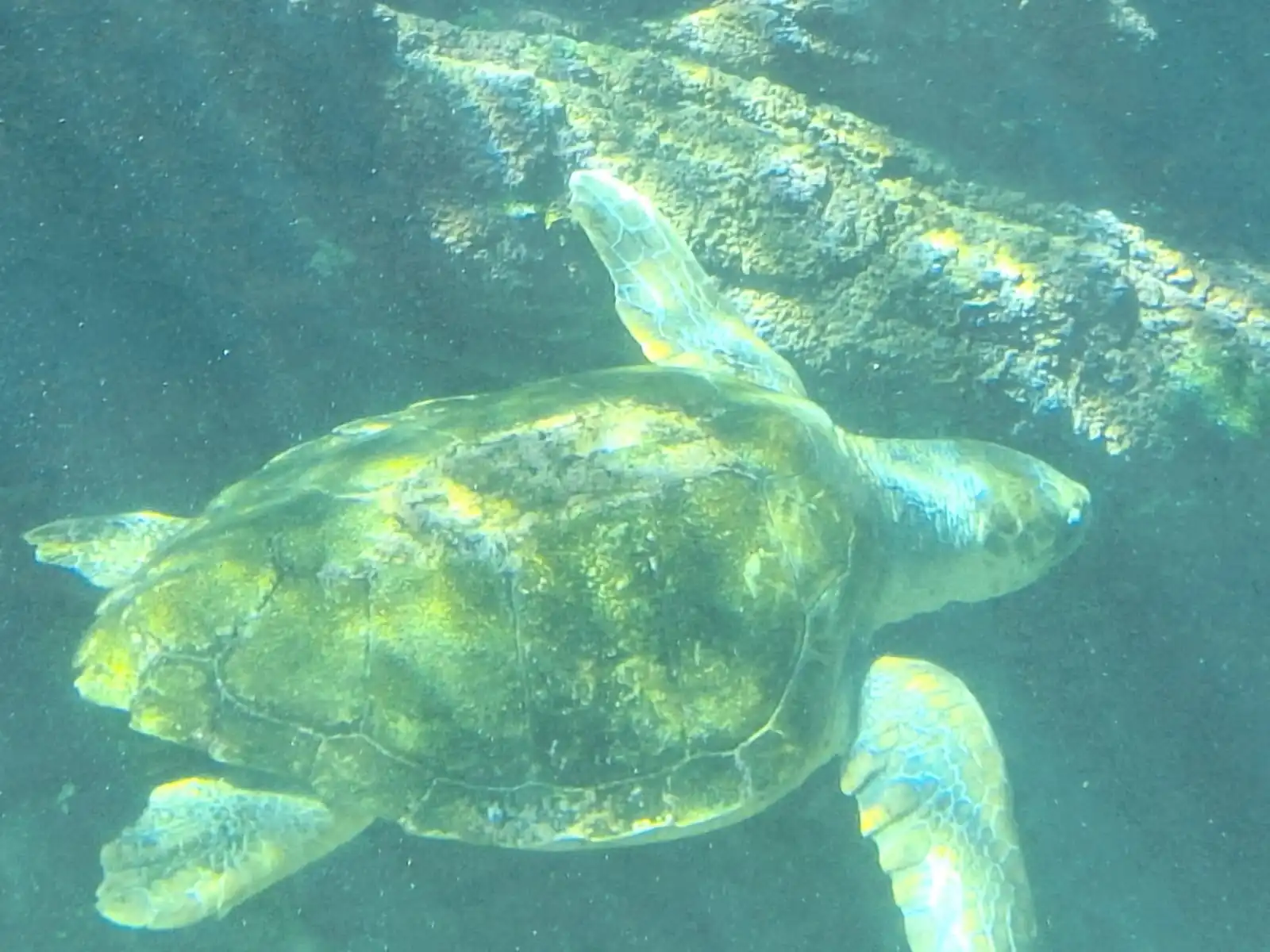 15c8773e 2719 48a3 9c15 Dd11c00b252c