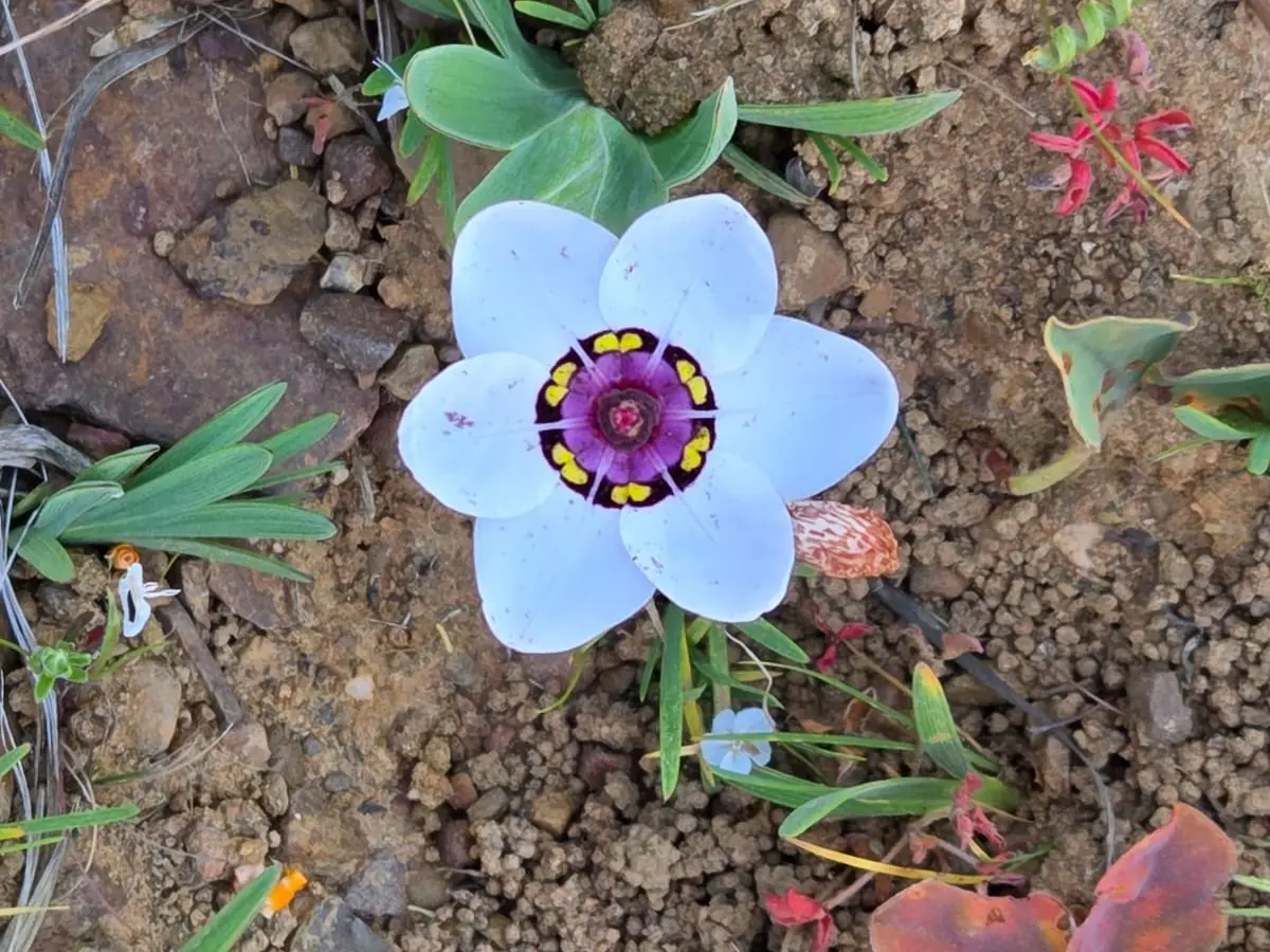 178ed00d F7a4 4c99 A6c5 D25dfb6d853e