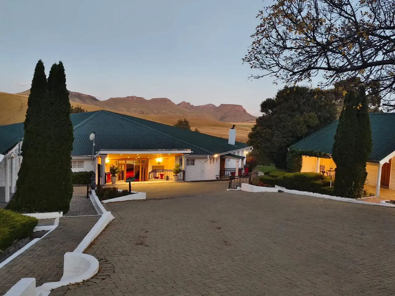 1a3dd973 C6b9 4003 A795 0c55a3168287