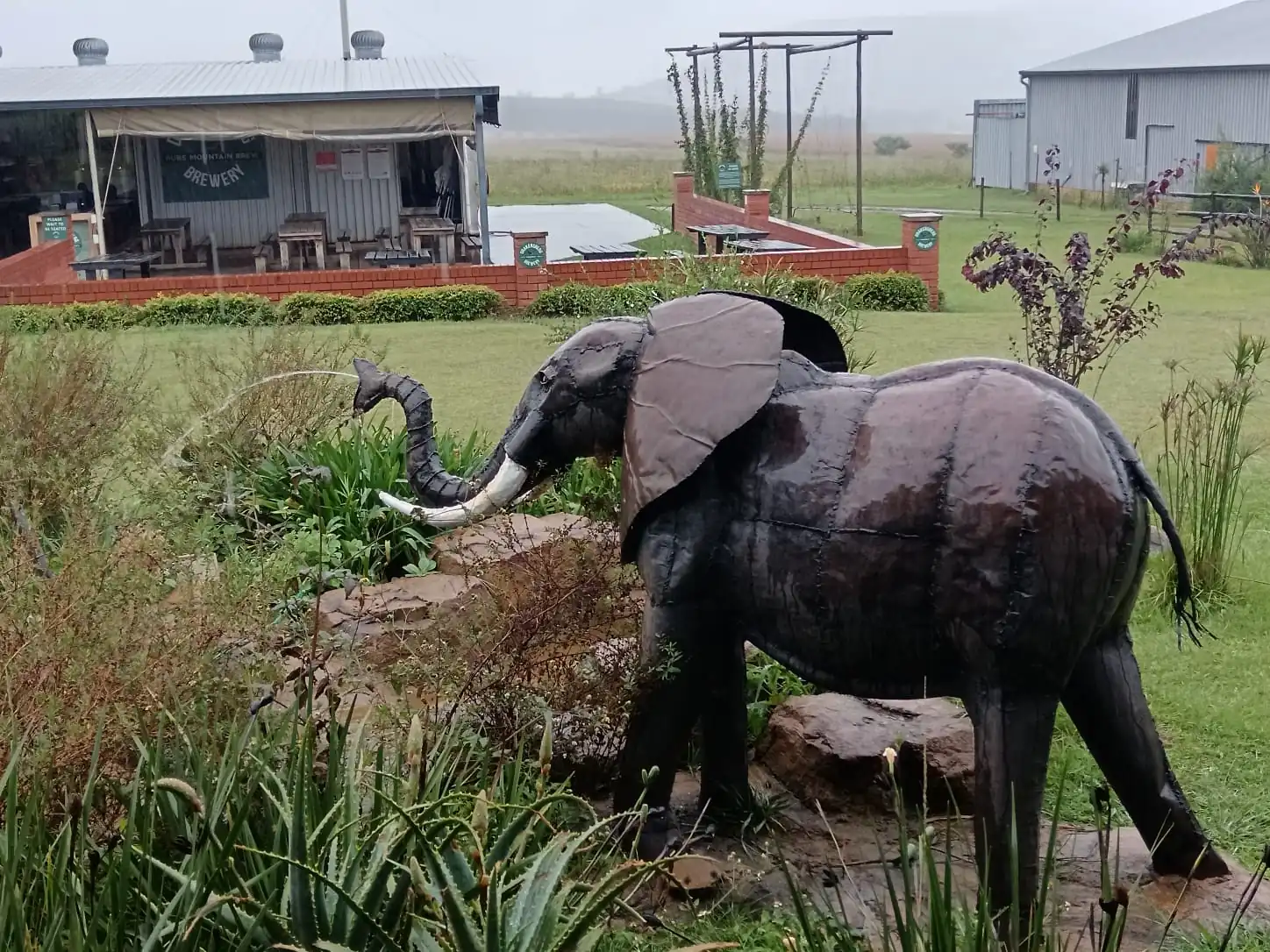 1d59d00a 9d51 49e6 899a Df8b7e6347a6