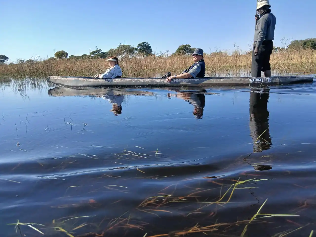 1d5df3fb 77f6 4a78 8356 D01dbb3eeea1