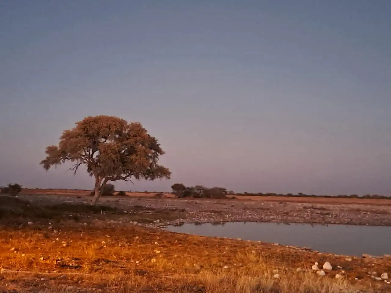 1d8b181d 9808 4b71 B779 69269689d5ca