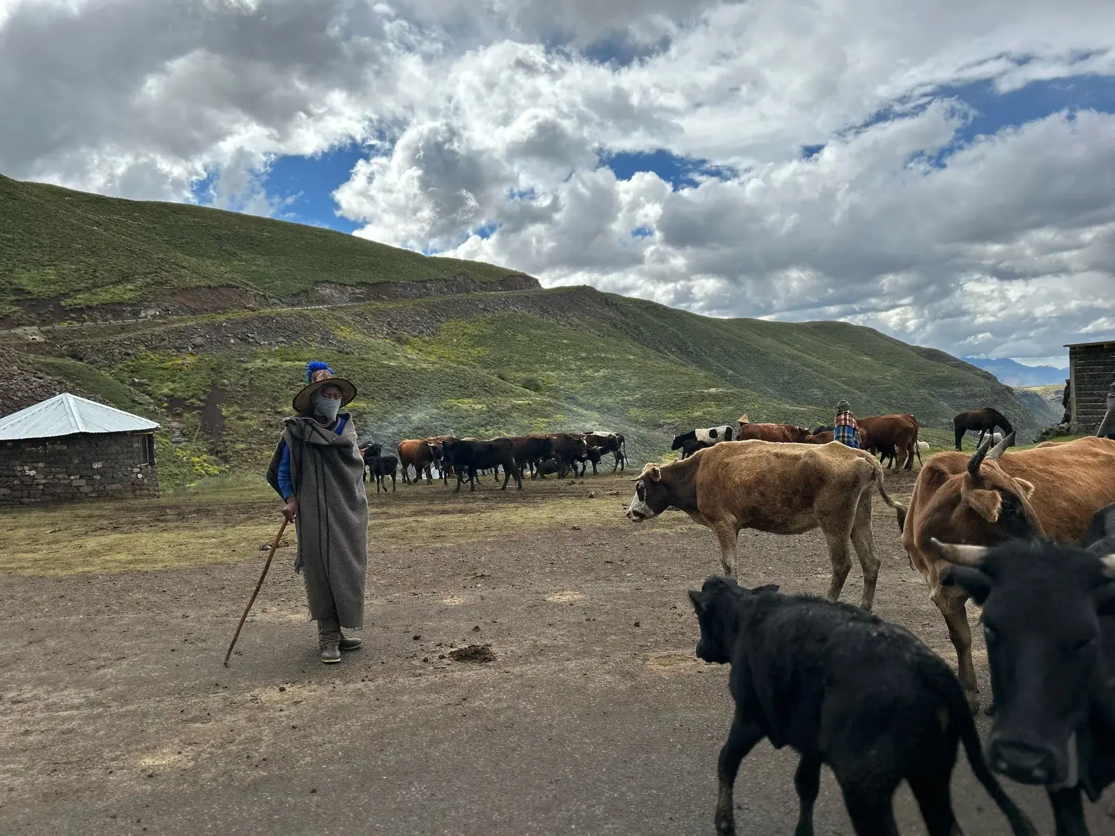 1d940491 C141 46d7 B846 794425dec4e5