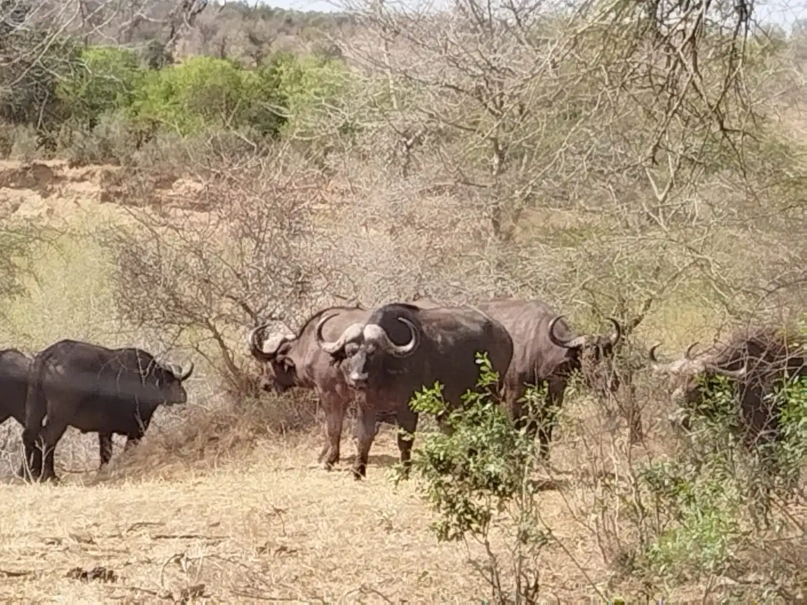 1fae3bc4 2cee 437b B0ed A1abb03f6b68 1