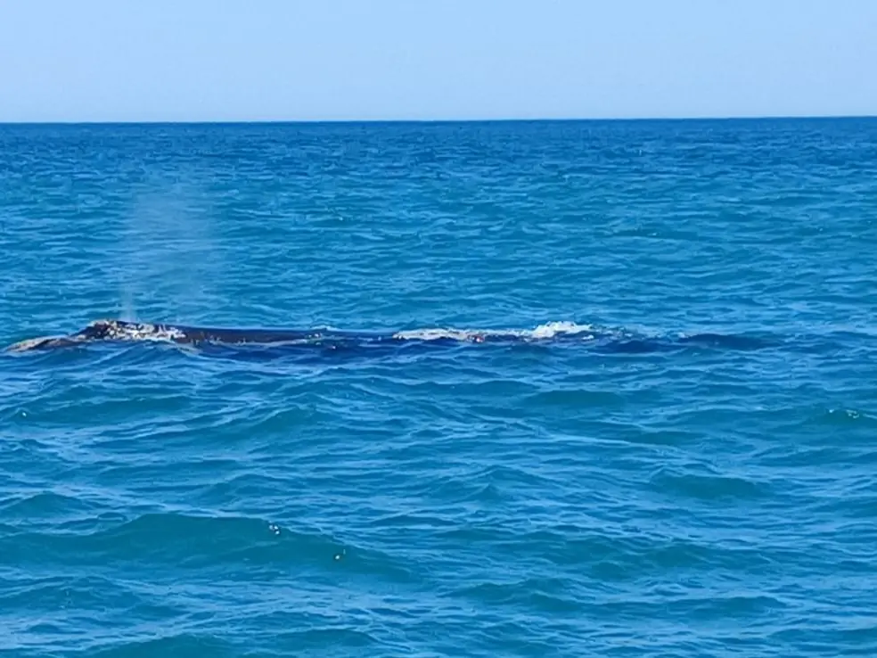 20ac6445 688e 4597 9bf3 Dbe19627b67e