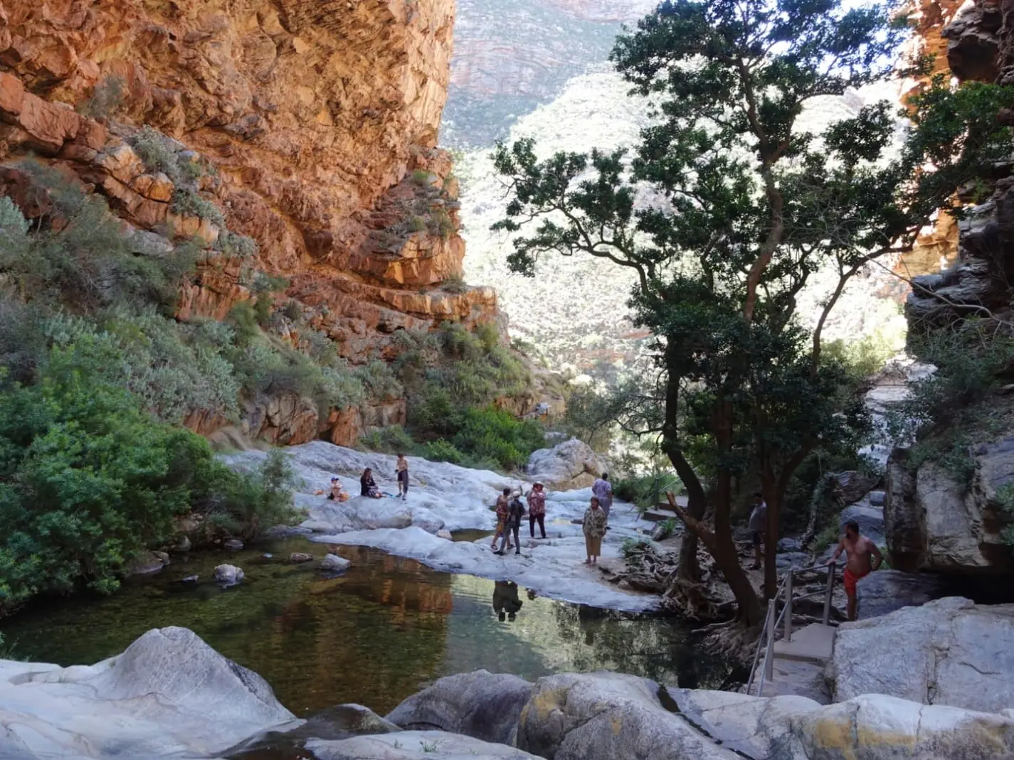 256c6ddc 9242 4eeb B236 5cf4c7bcb0b3