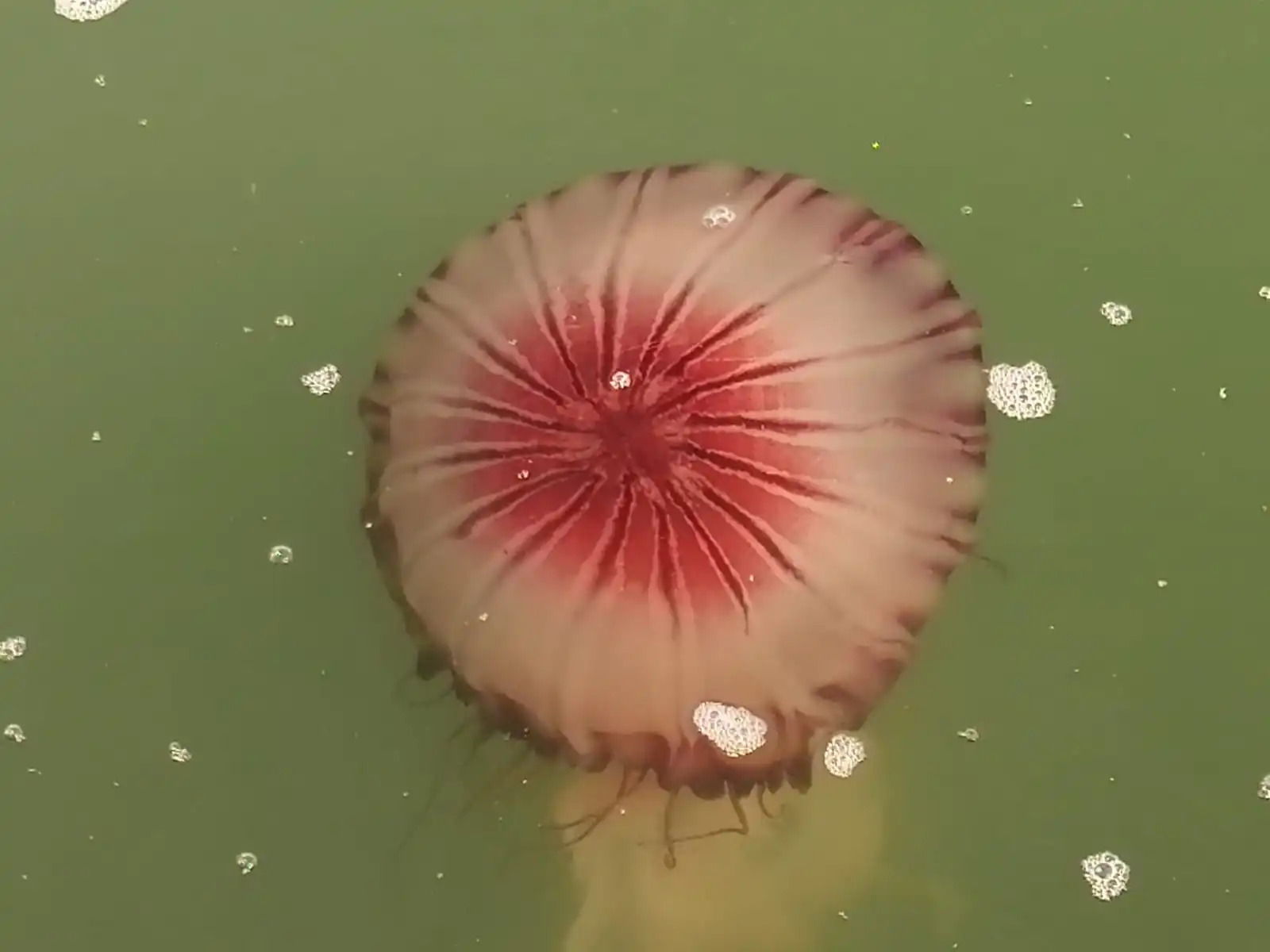 2815883b 282d 4a3f A059 63007c16fc2c