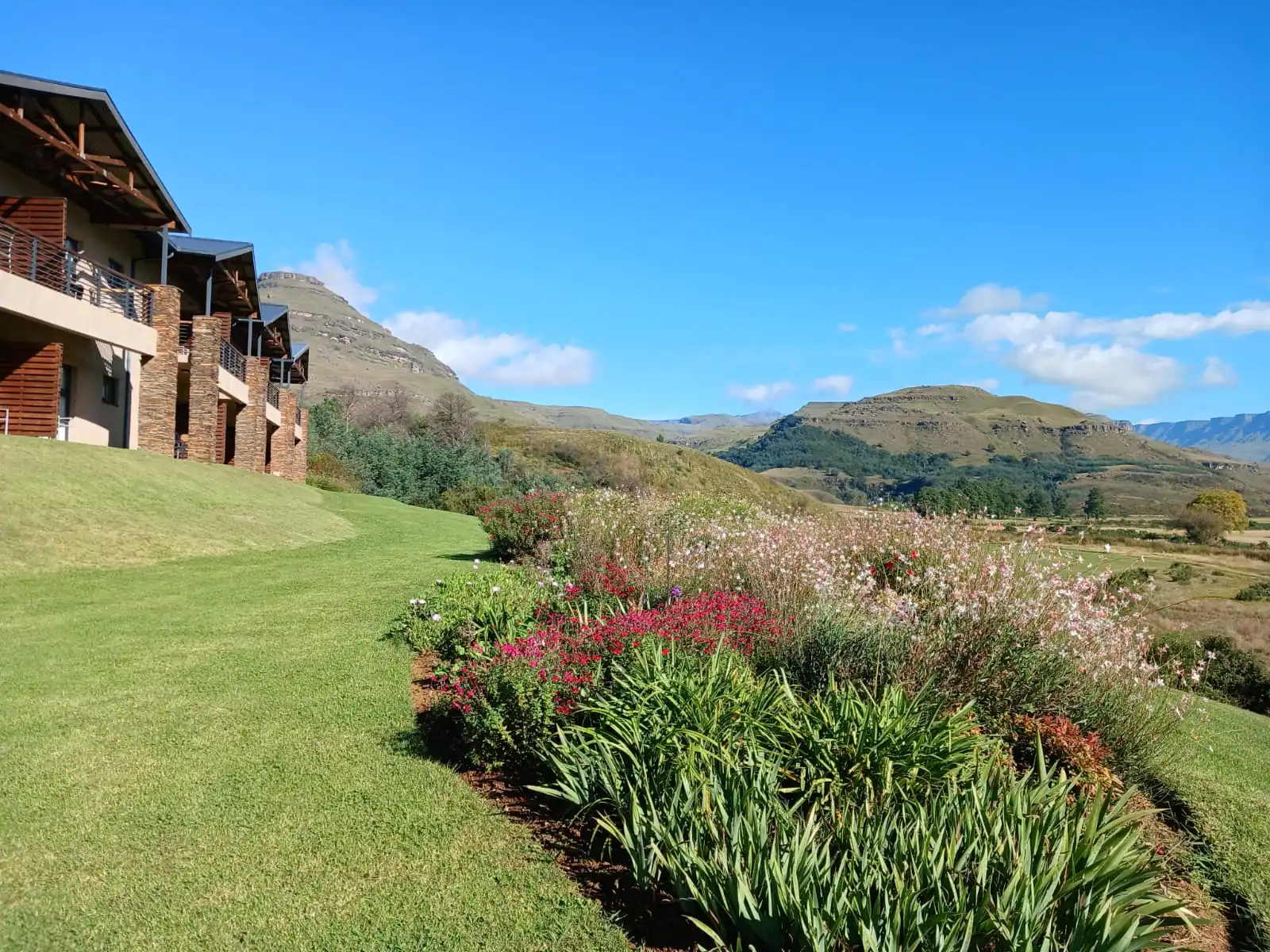 2d14fbc5 F10c 4b1b B38d 666ce45ba171