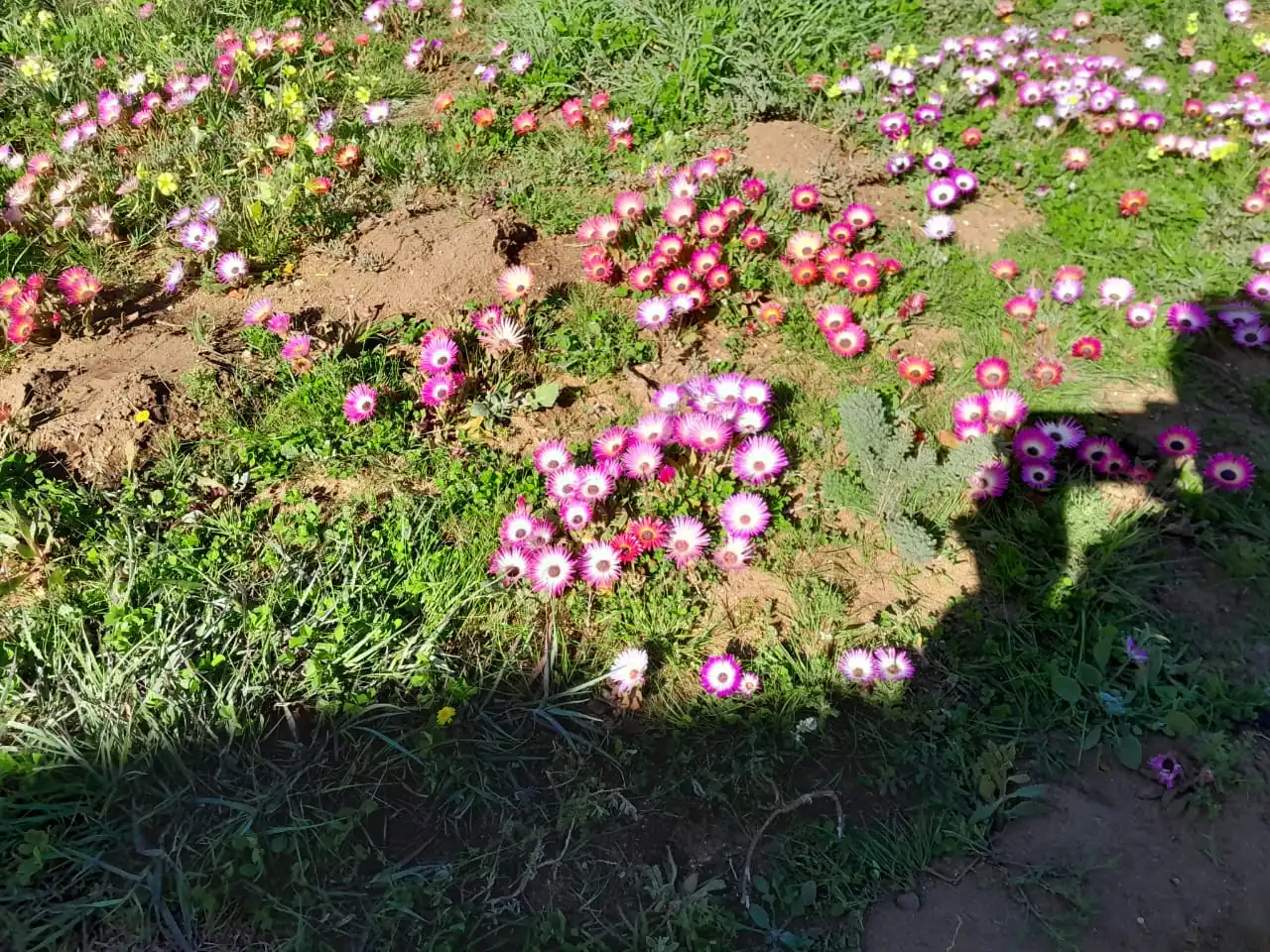 2d493eda Bccf 4235 85d2 B070de61569f