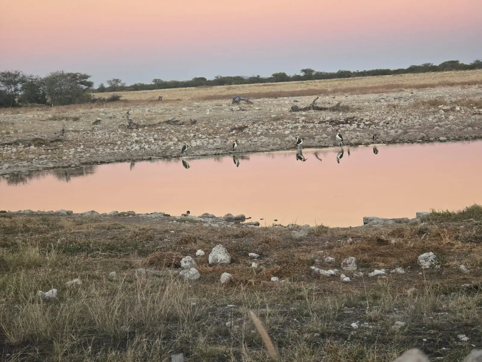 2deb69e1 Ec31 4c7c 80aa 2386d961527b