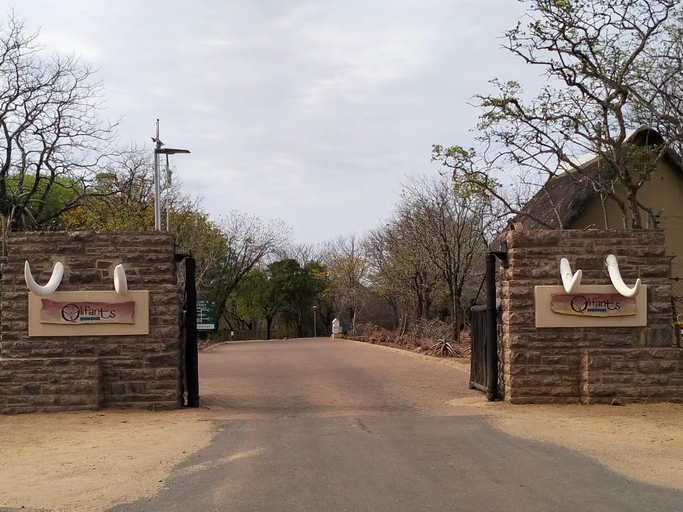 31a1c7cc D8ef 4d26 80cf Ef00625e793f 1