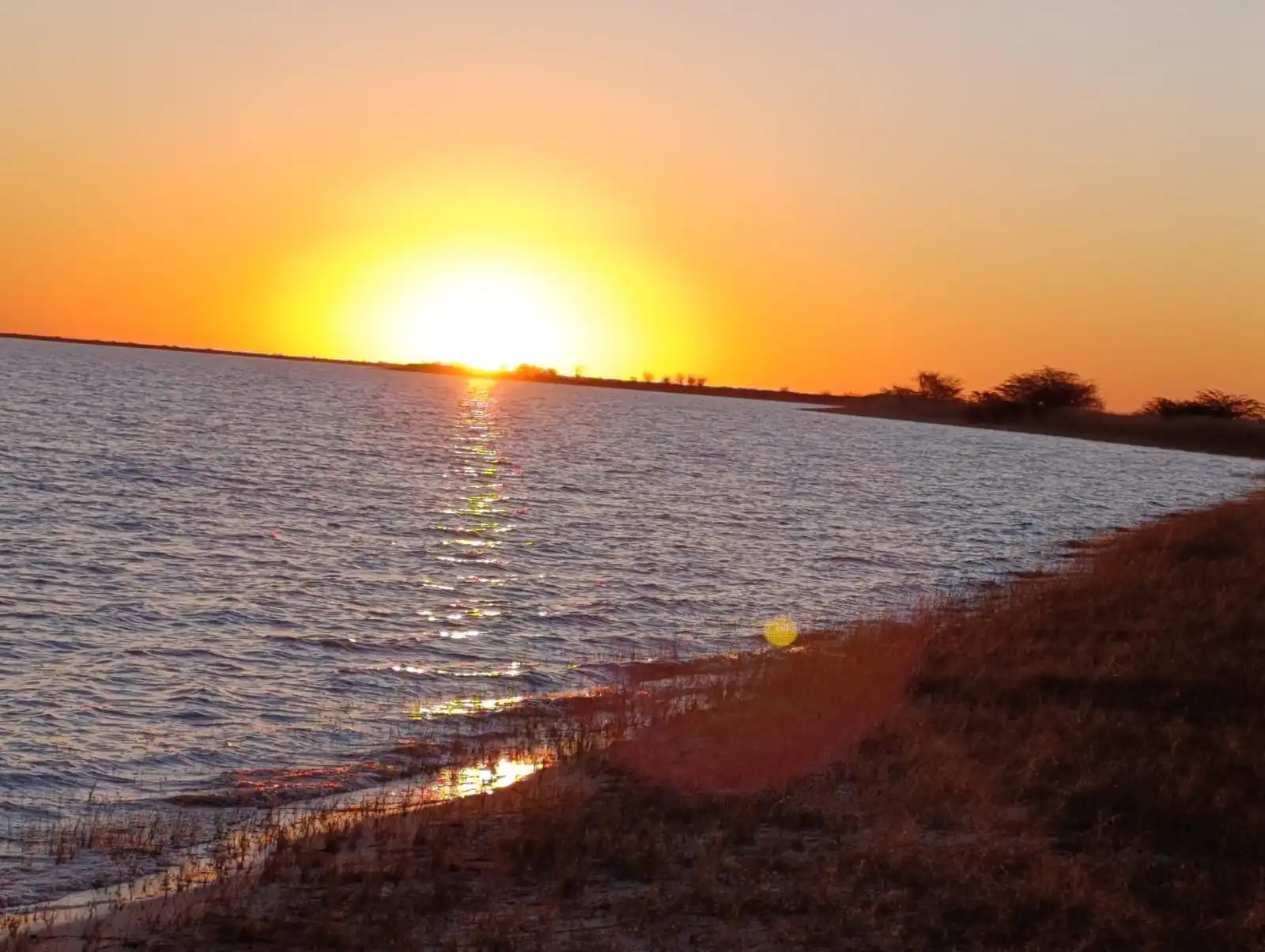 3616b763 F78a 4bb9 8d38 Df9c42f0ba16