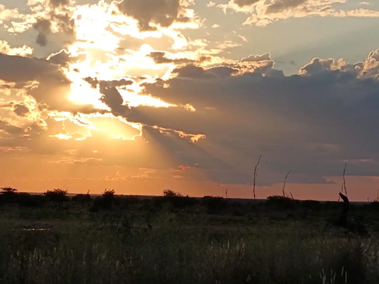 3779139a 87fe 4d26 8fed B5e30943bfda