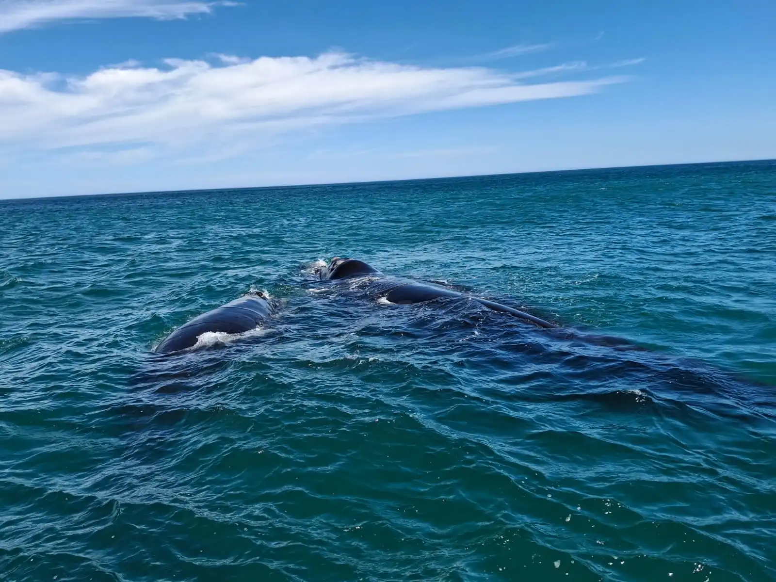 37f3c32a E23d 4d45 841b 380ffdace5b6