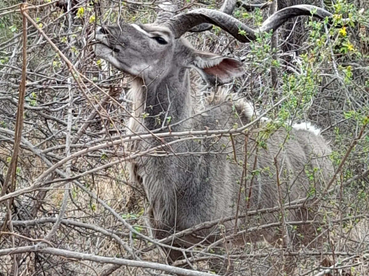 394a4653 9e18 4f26 92f3 1f24fc6d1ad8