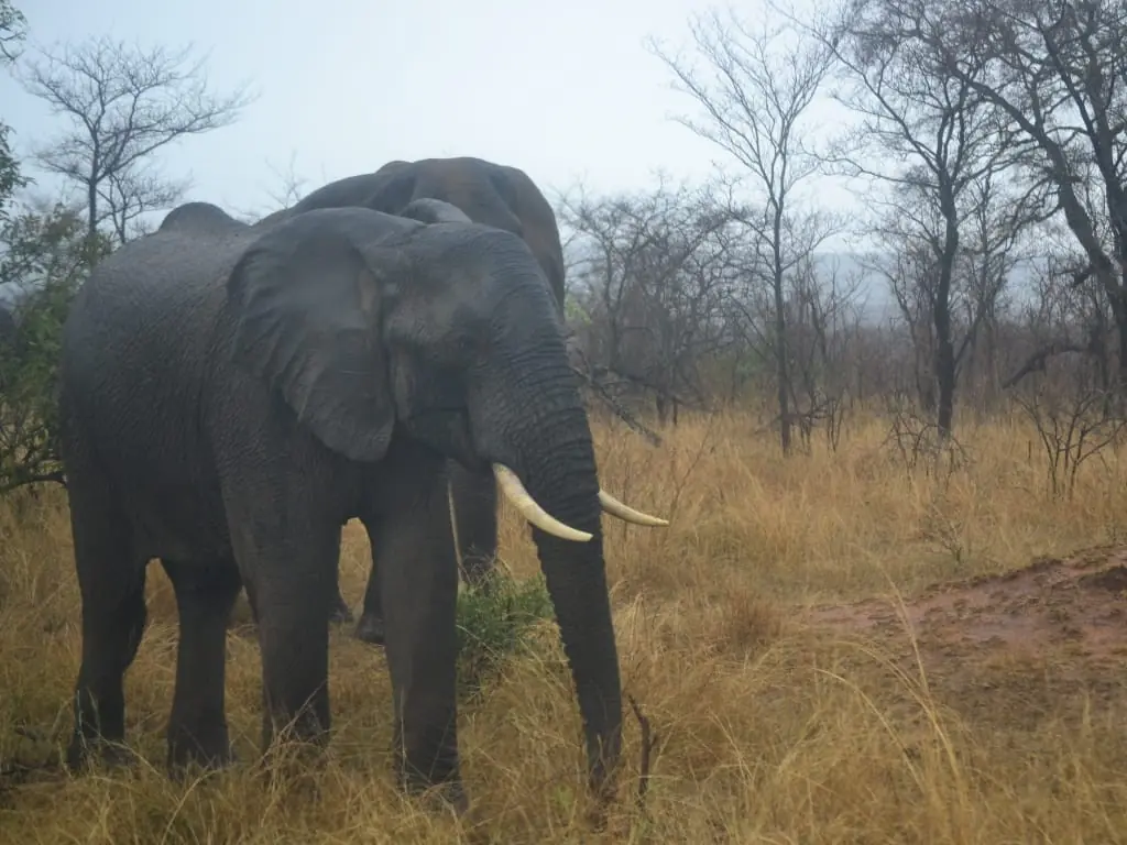 3c0222c9 C46c 40c4 94be Ea8c5ca3d8ae