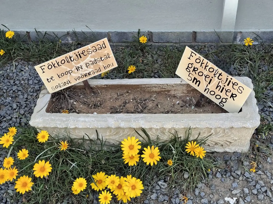 3f29c16e F941 447a 8034 5983e41b4be8