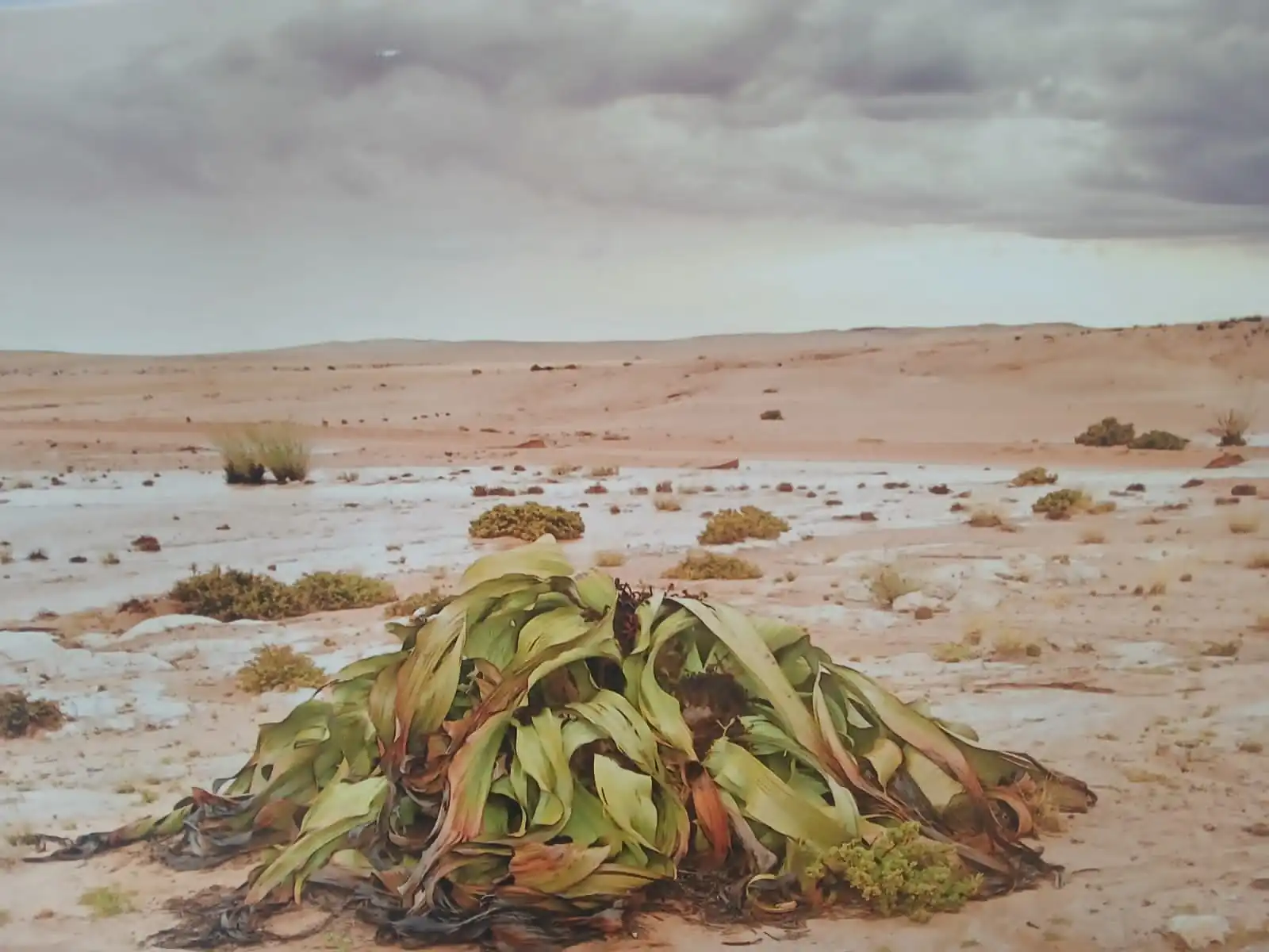 3f5295e8 75e5 4328 9404 Dddbcdbc63db