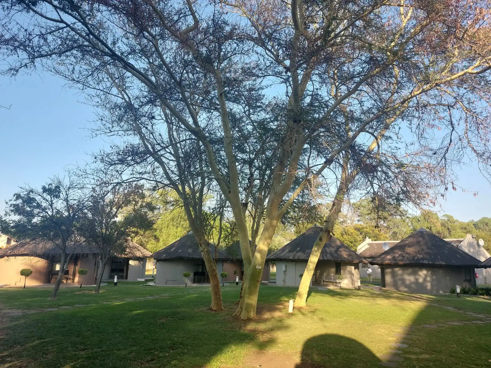 42f49914 Ae3c 41cd 932d 146d750b72eb 1