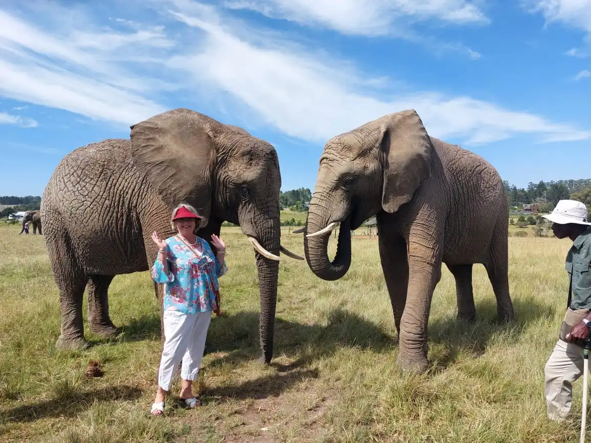 477c847b E182 4587 8236 F66606424e5a