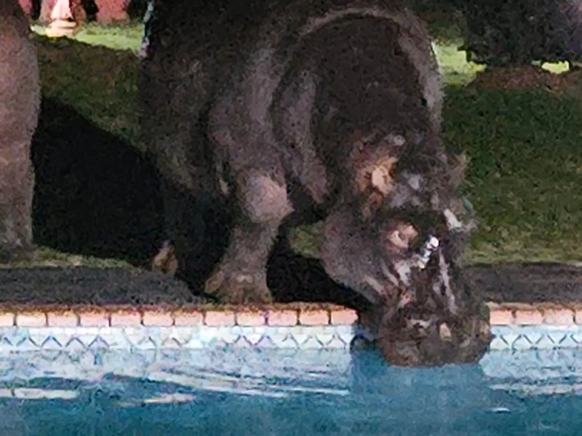 47bdf58f 4b1f 45d6 8e46 C327d40ab332