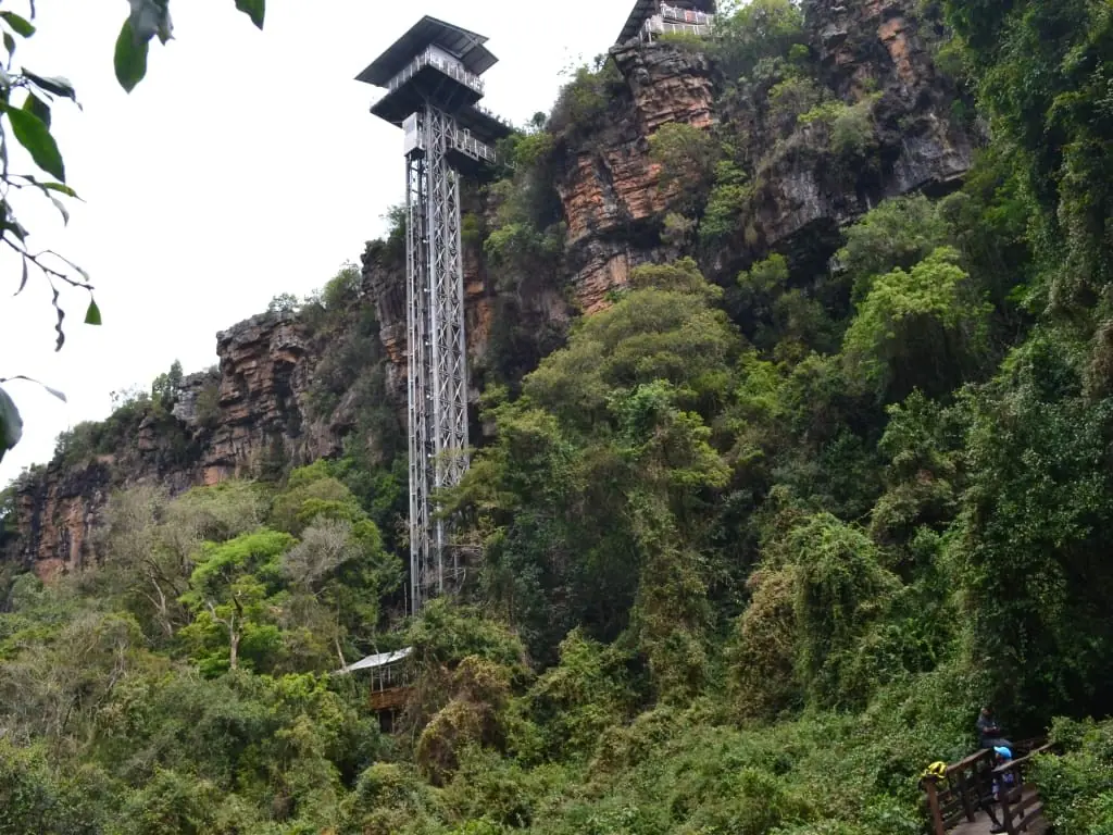 48671bc2 2222 4a76 8529 620e8bb70589