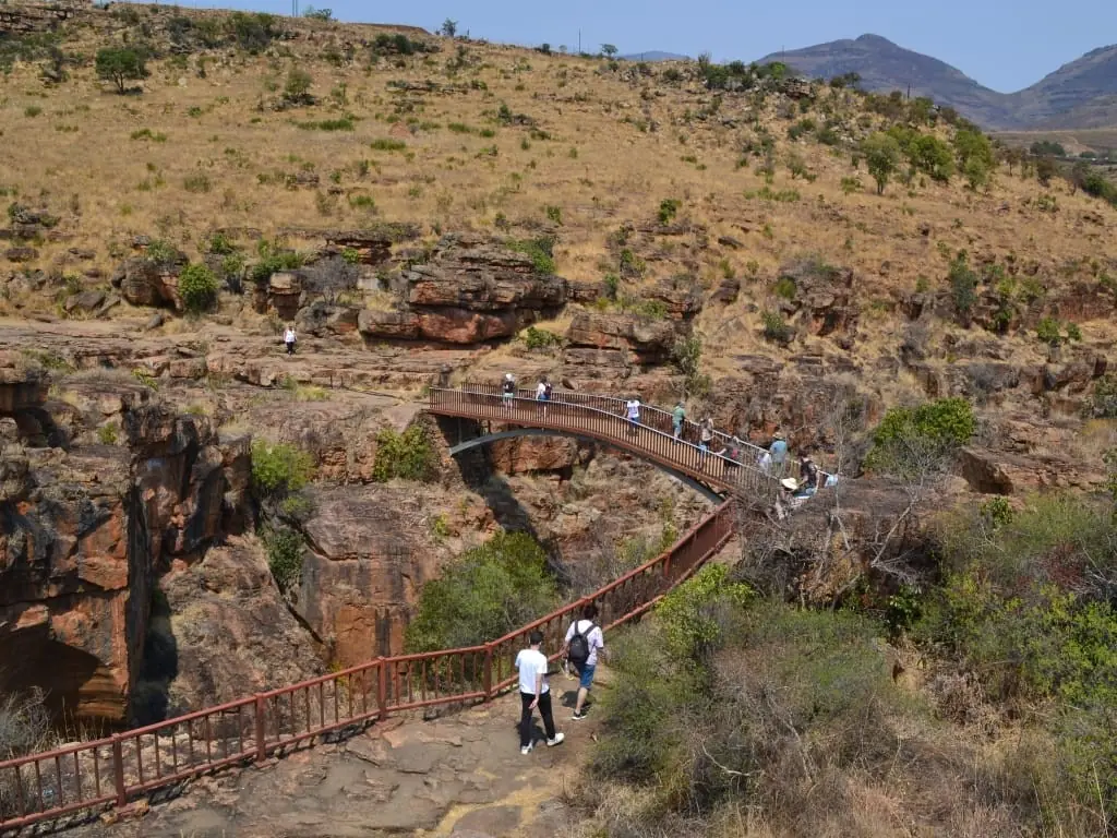 49d8033b 3169 40bd Bbf6 C27b958054e5