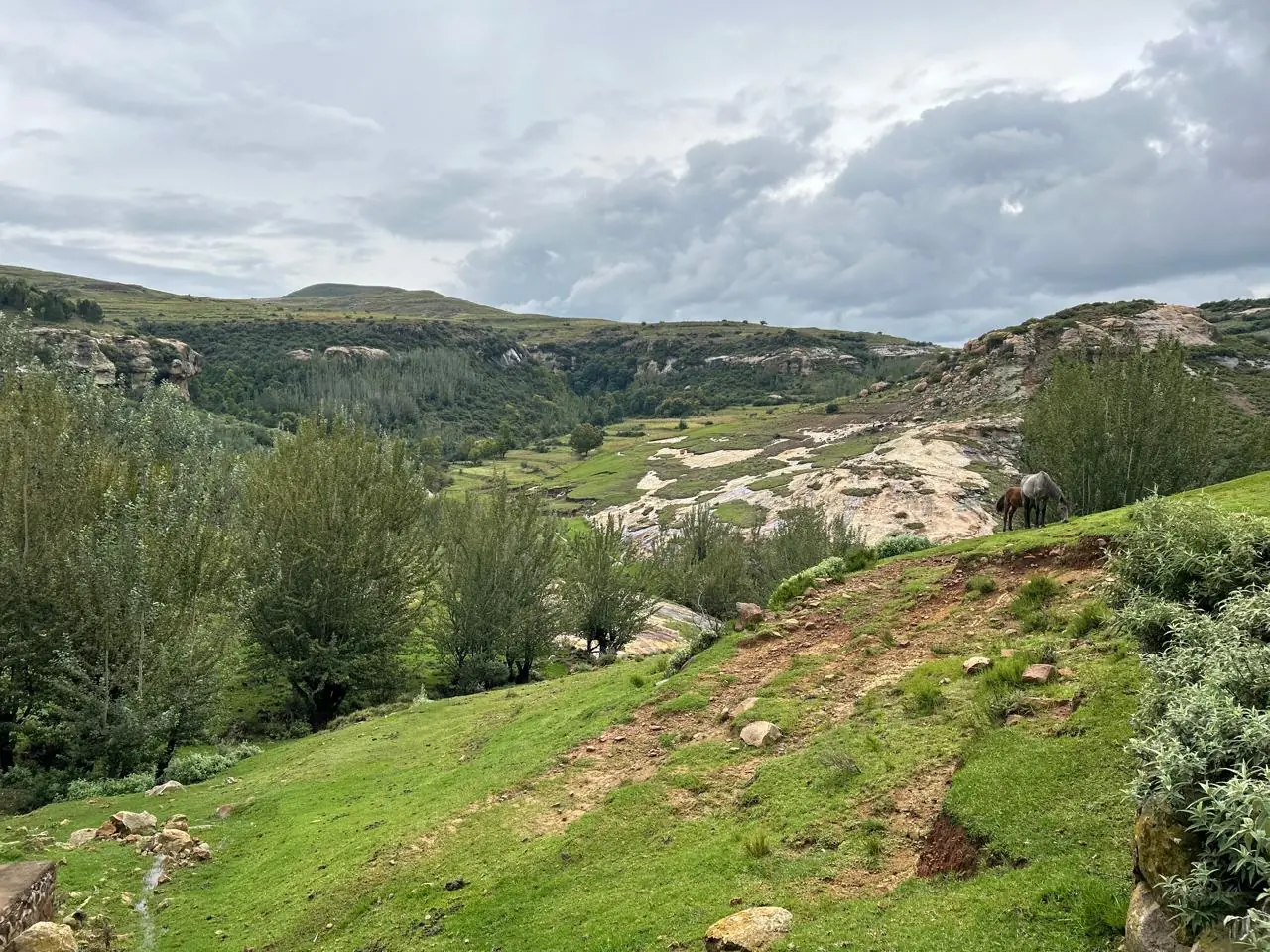 4f8f0974 451e 4f11 9225 B88fbf3e34cf 1