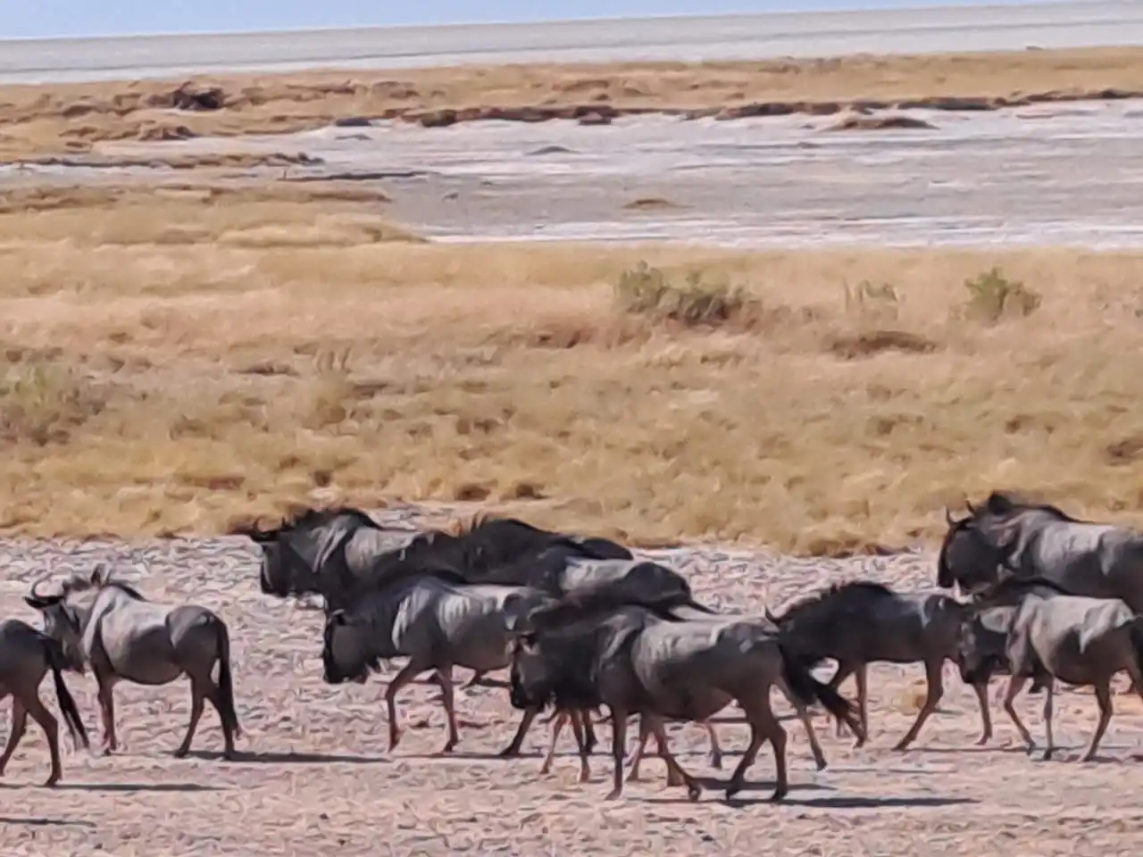 4fd37ca6 7659 4f41 9eac 5c15a77ac871