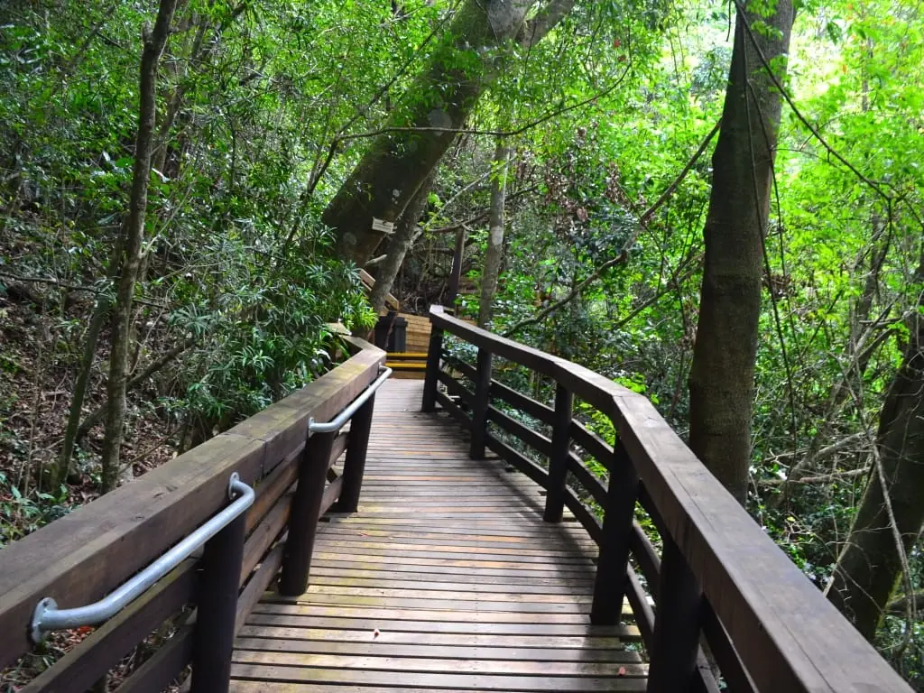 57857cd3 C2c3 4d84 8649 560564ed36a3