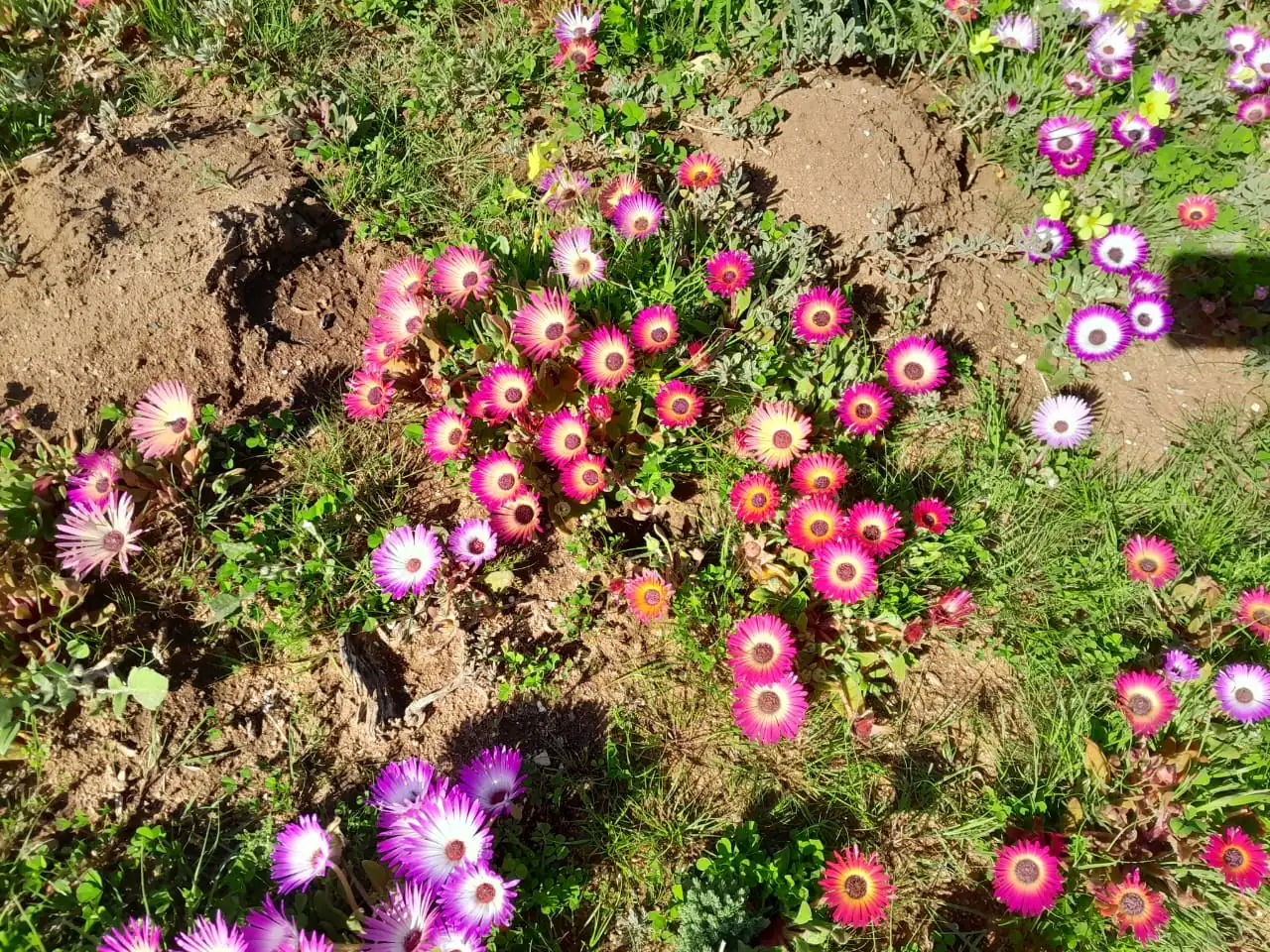 586eda08 B3f0 4ced Bc6a B26be6e3110c