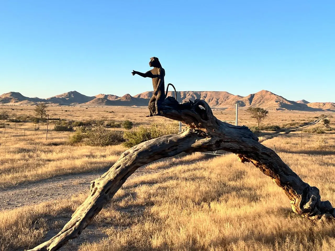 59e97372 D349 402c A5cf Ca0f4b32d448