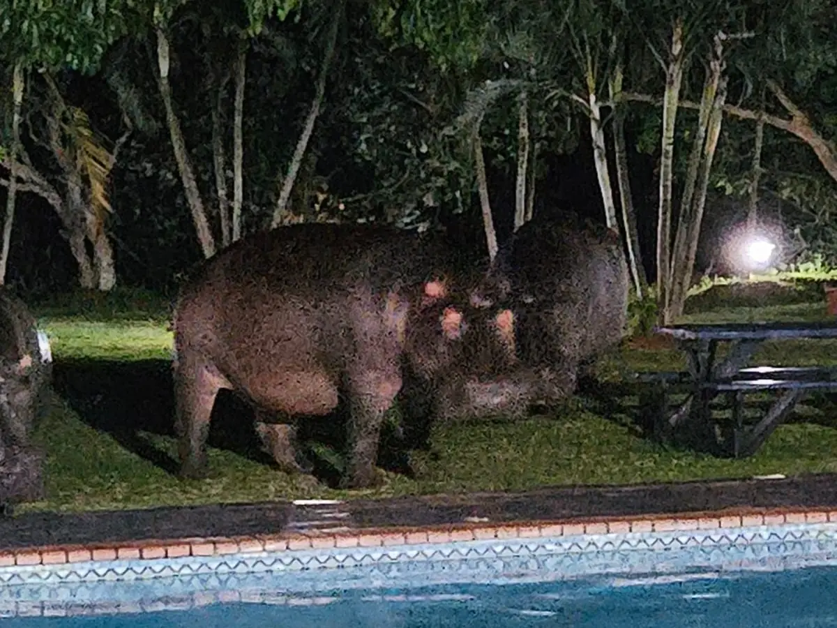 5e0cf9e9 761e 4d35 9076 08dbc1bf931d