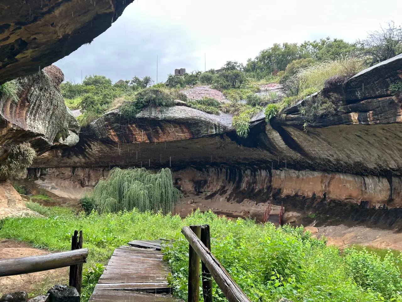 5e4ba034 386c 4162 A92e D3fc5e68d4d5