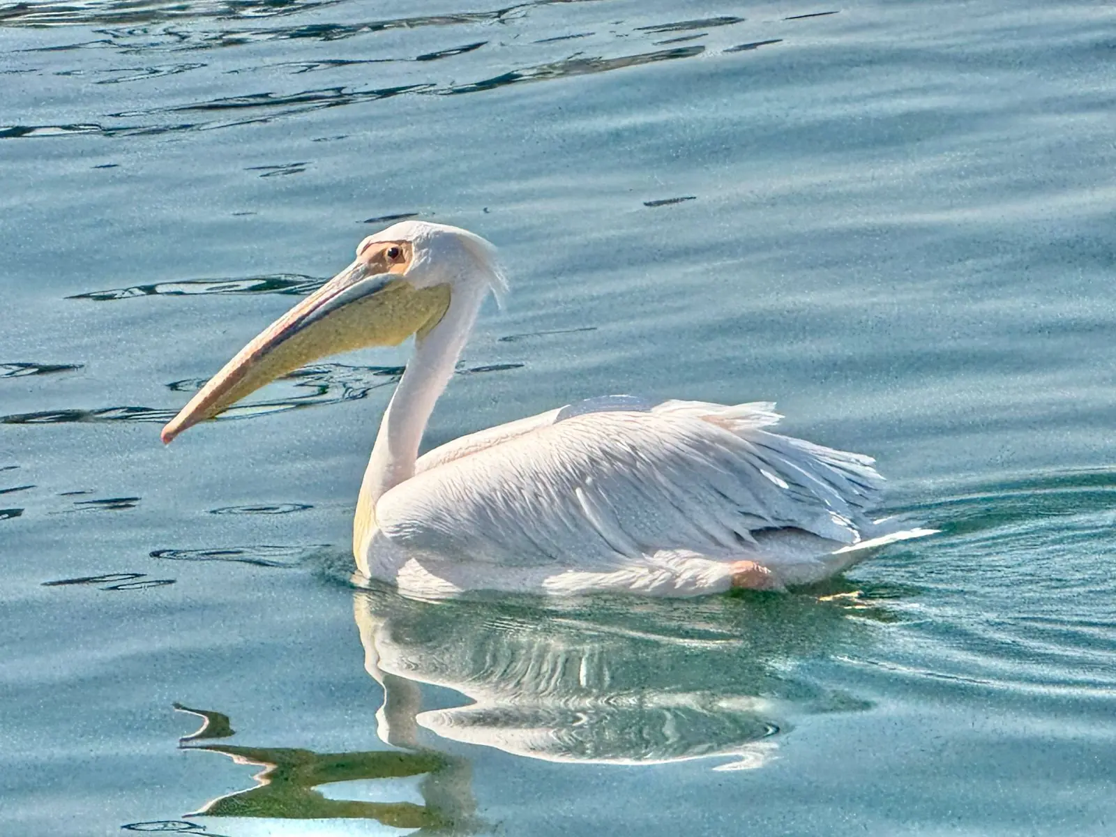 66aa8f4e Cd52 4a71 8c3c 34901963dc65