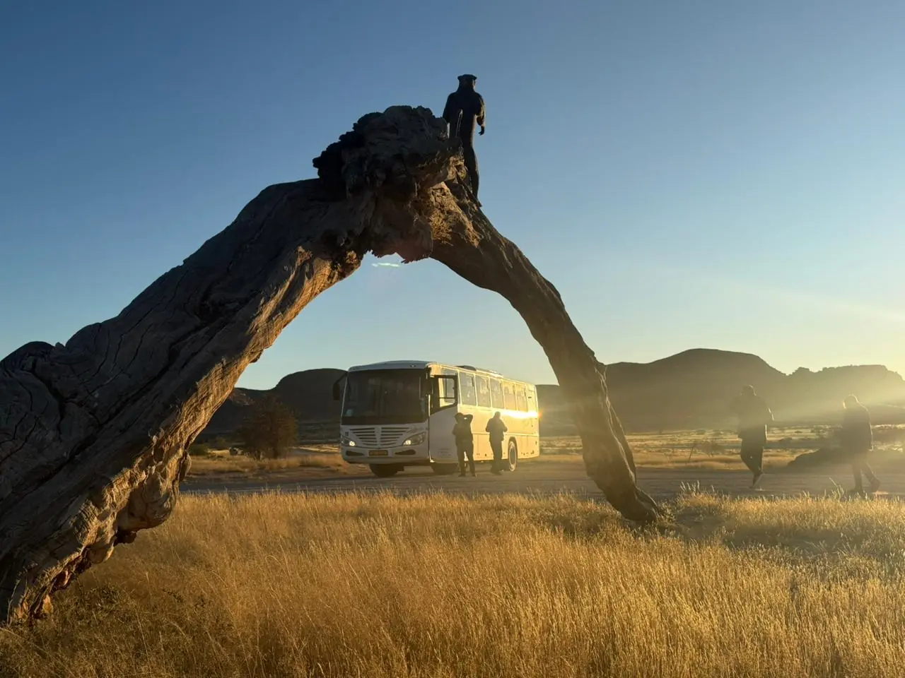 68ac2943 Cca1 4e5e 83fd 4ab75ed9a7c3