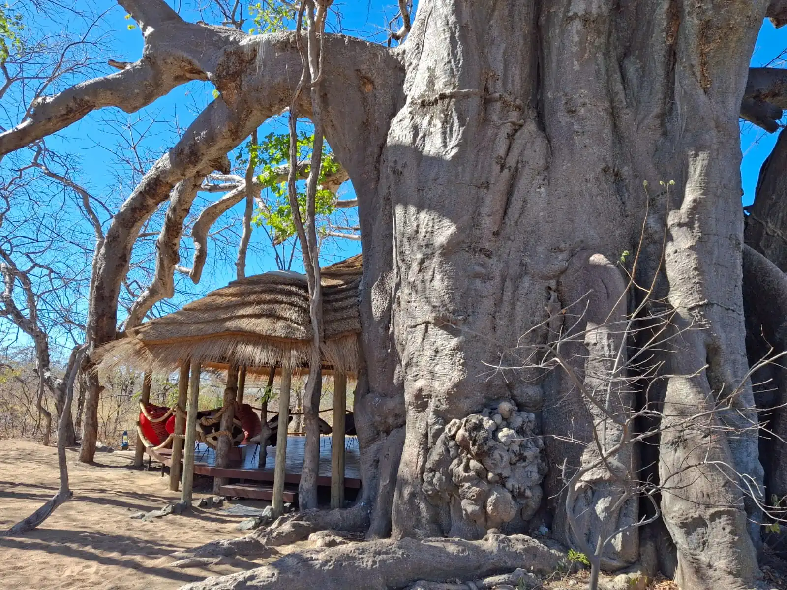 6d31f35f F382 4a8e A343 C95e5716b820