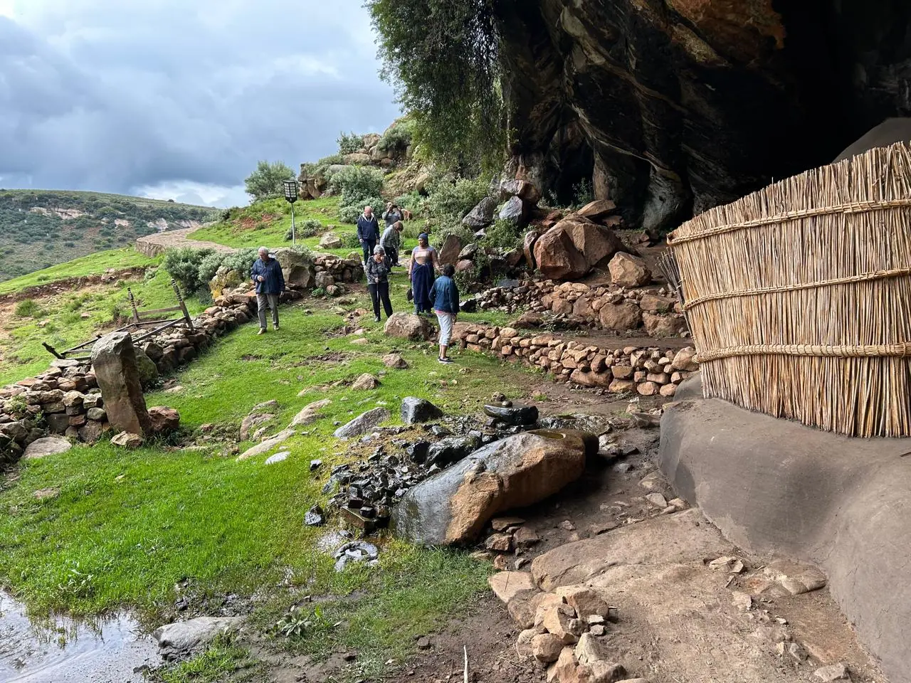 717bb7b3 17c5 4cd4 9c01 5e3aaea863dc