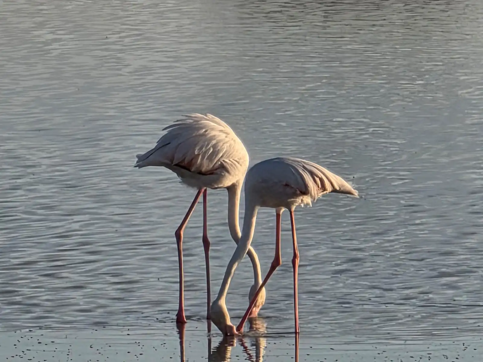 75c09503 B474 4d3e 8f03 055a3d31cd45 1