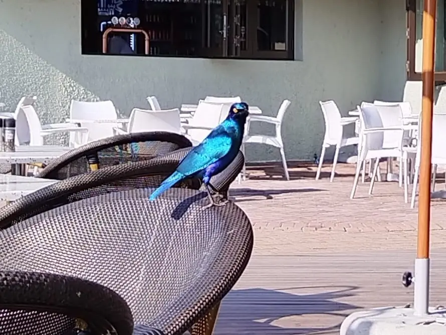 79c77274 5034 4373 B828 2b8804023c7f