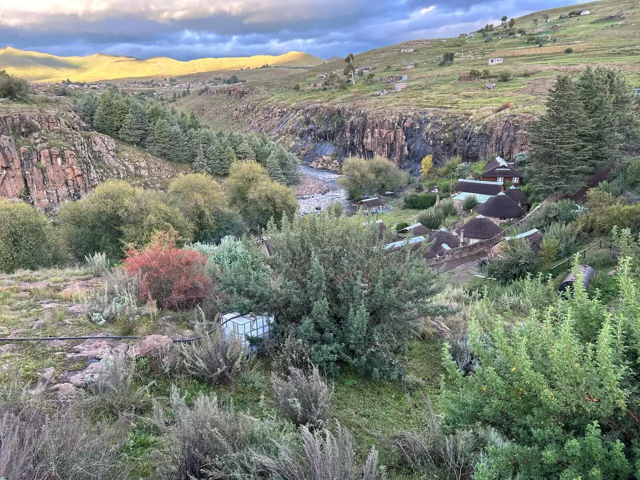 7b081298 117c 4362 83d5 8e5864e217f4