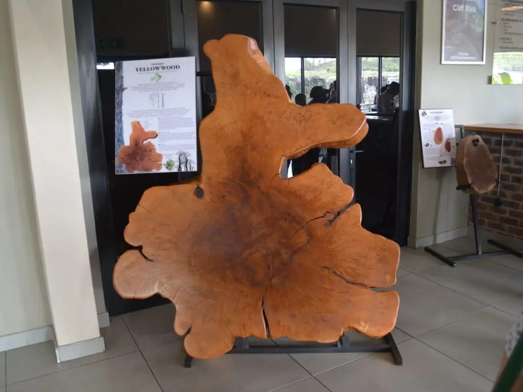 7db38ade 8143 4510 8285 F048c5f01c46