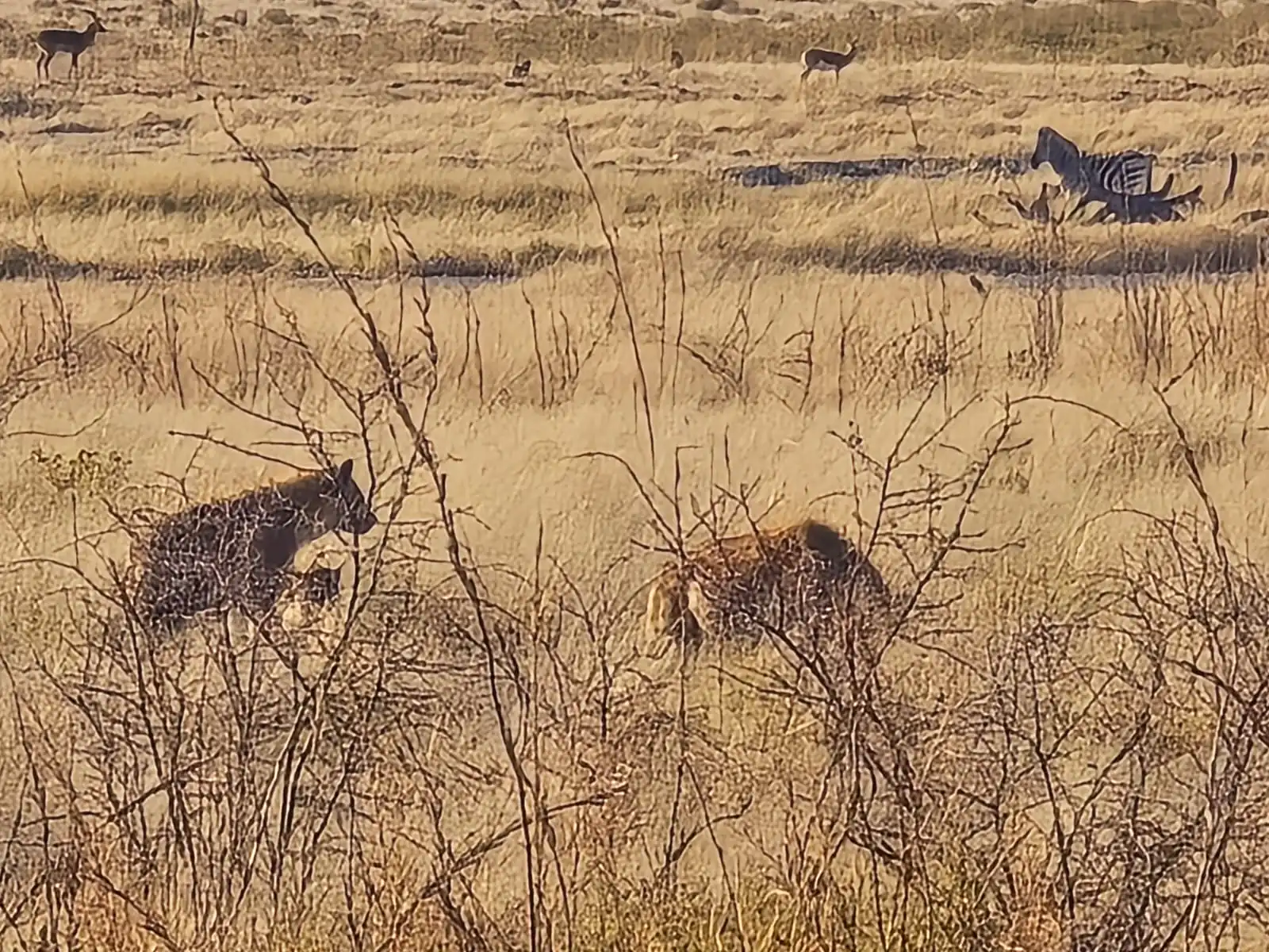 87e95356 2f32 4abc Bf51 A8d4da18c23d