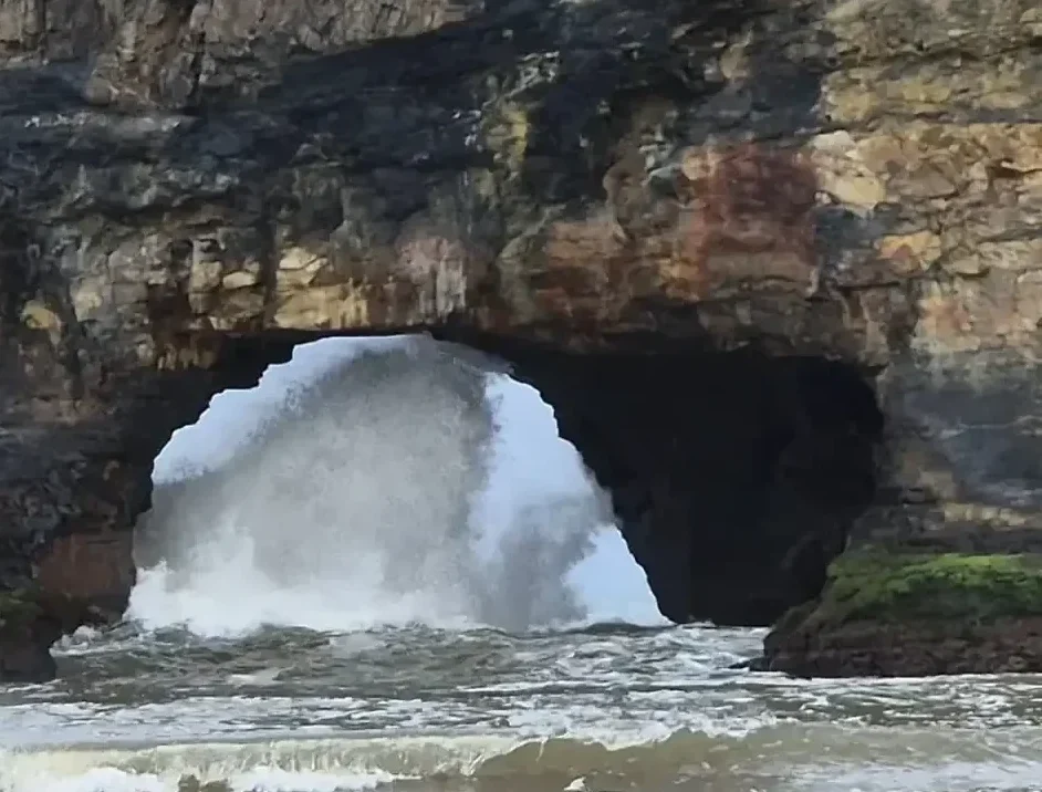 89aa9b7b C8f5 45bd 8534 Ecb15f66962b