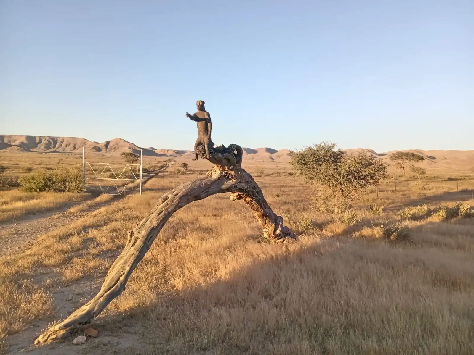 8ab76951 B7ac 441e A53e C8a3923eee71